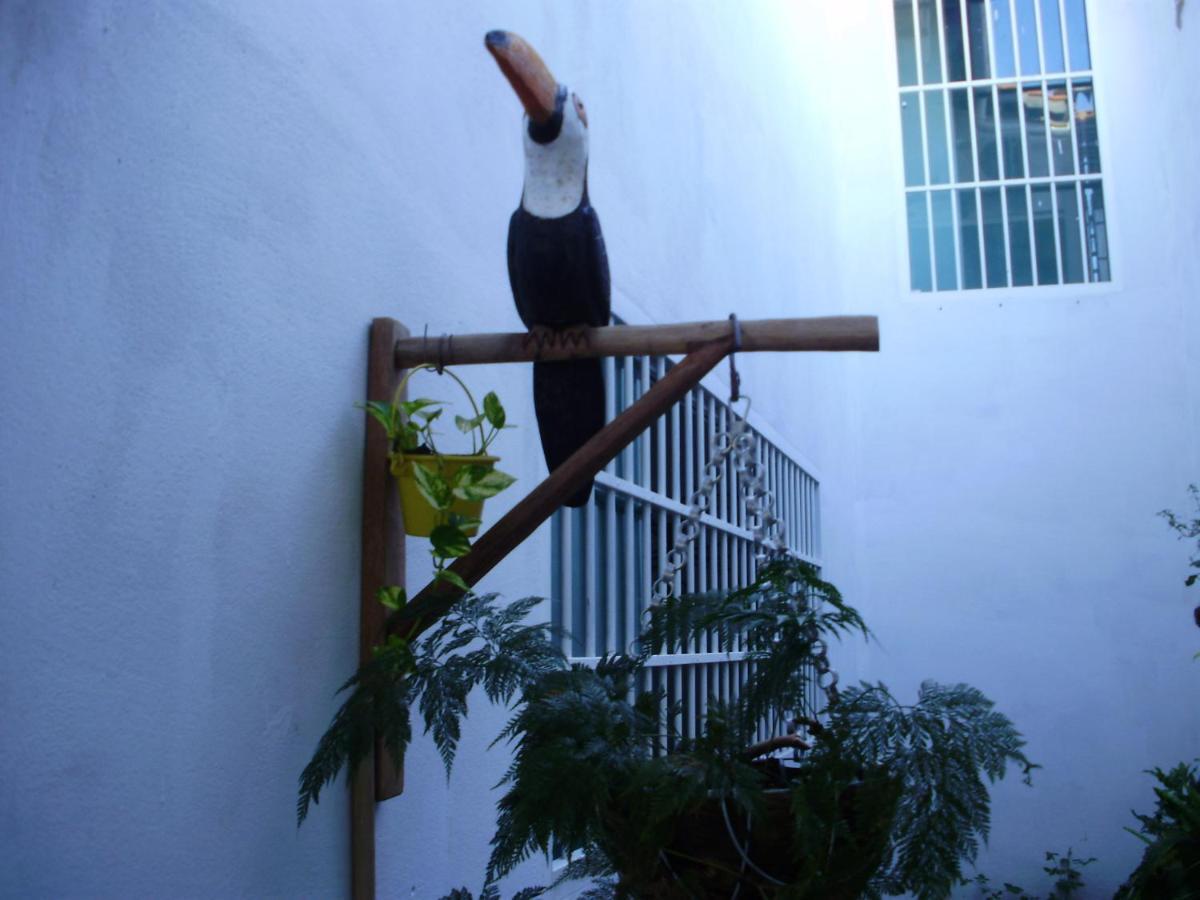 Aconchego Dos Milagres Villa Sao Miguel dos Milagres Ngoại thất bức ảnh